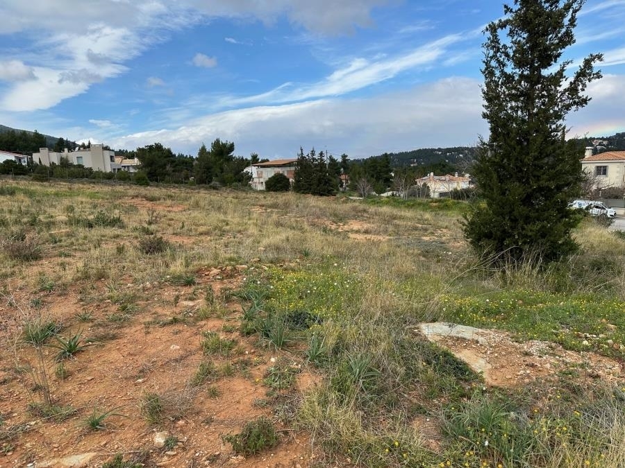 (Zum Verkauf) Nutzbares Land Grundstück || East Attica/Dionysos - 3.176 m², 1.500.000€ 