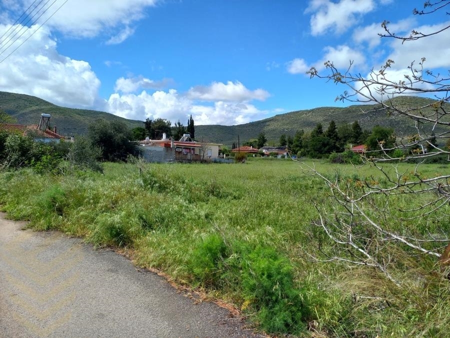 (For Sale) Land Plot || Fthiotida/Malesina - 3.744 Sq.m, 75.000€ 