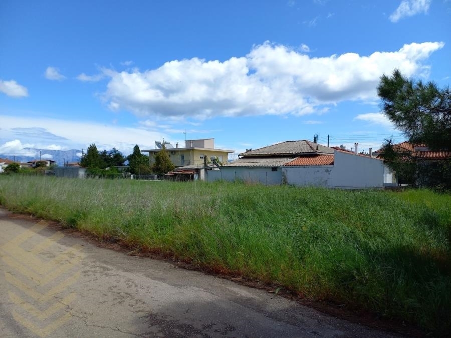 (For Sale) Land Plot || Fthiotida/Malesina - 942 Sq.m, 20.000€ 