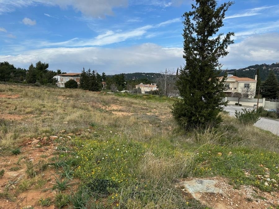 (Zum Verkauf) Nutzbares Land Grundstück || East Attica/Dionysos - 3.176 m², 1.500.000€ 