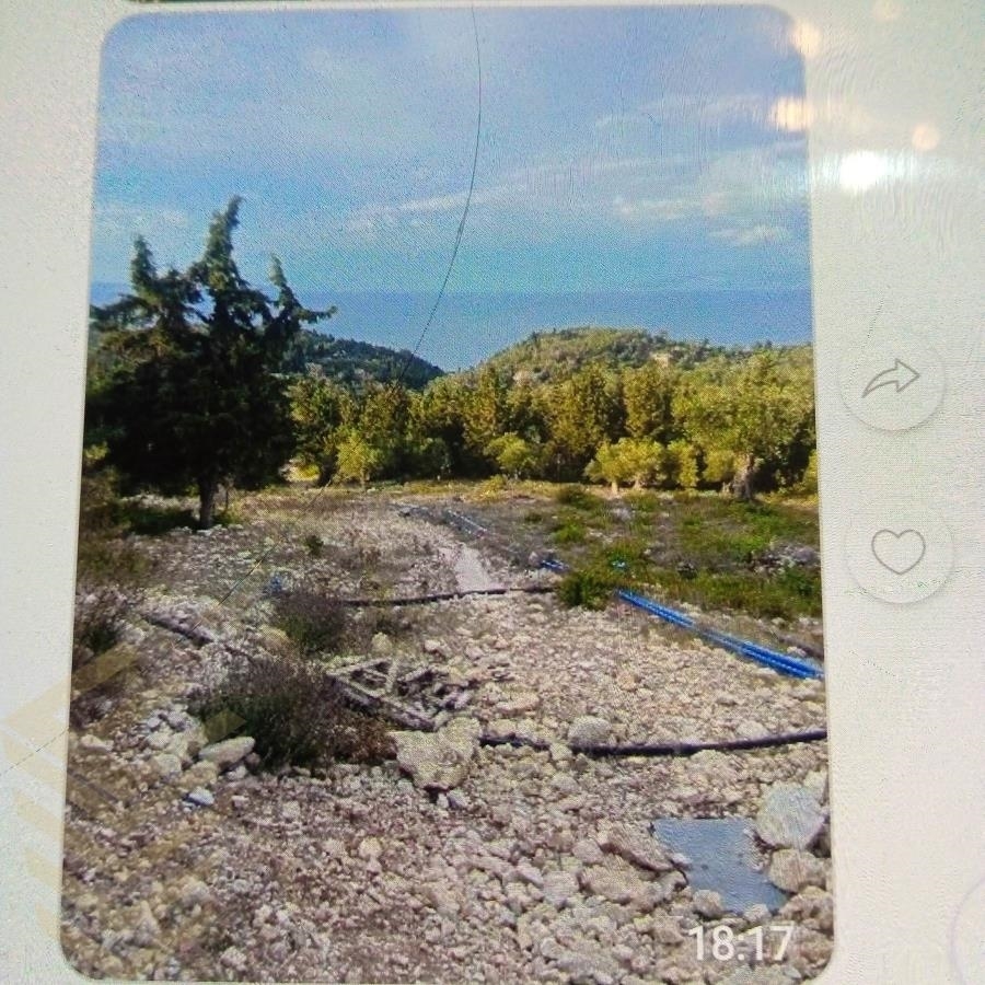 (Προς Πώληση) Αξιοποιήσιμη Γη Αγροτεμάχιο || Ν. Κέρκυρας/Παξοί - 15.406 τ.μ, 950.000€ 