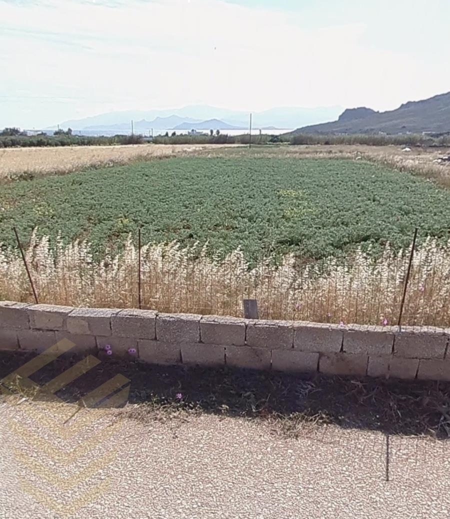 (Продажа) Земли Сельскохозяйственные угодья || Киклады/Парос - 4.759 кв.м, 210.000€ 